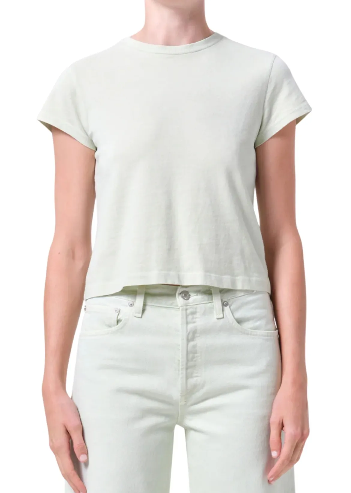 Adine Shrunken Tee