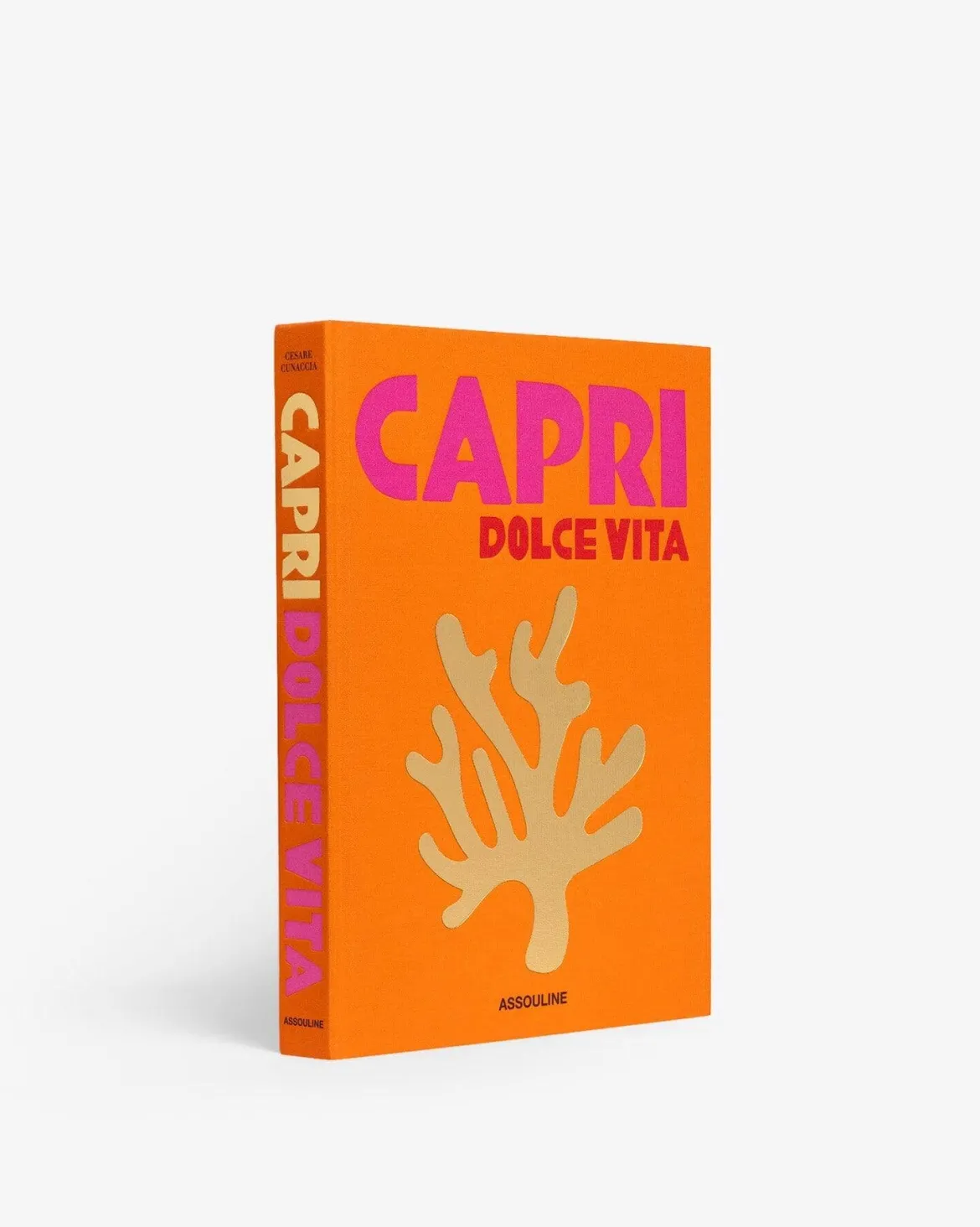 Capri Dolce Vita Book