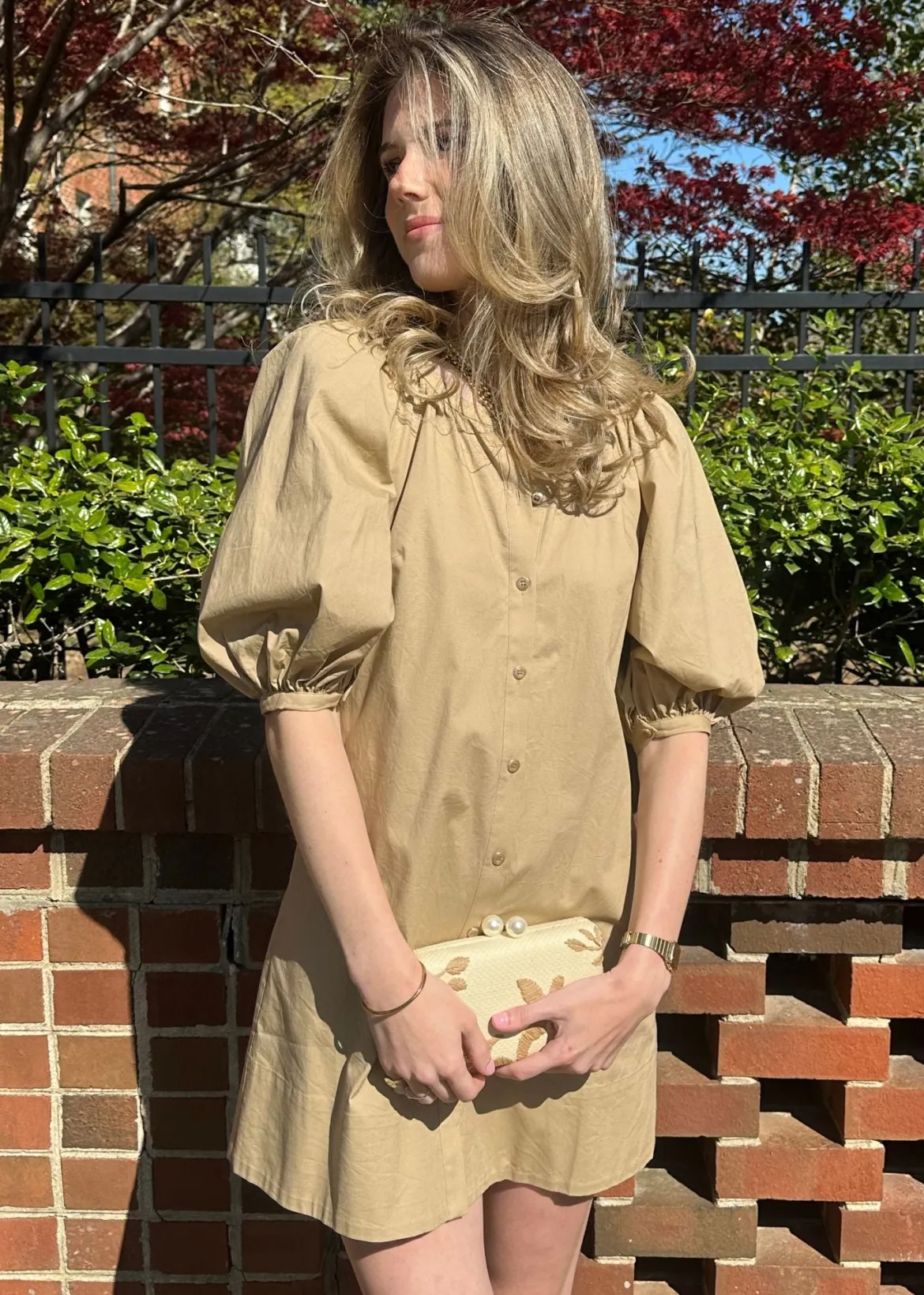 Charlotte Dress