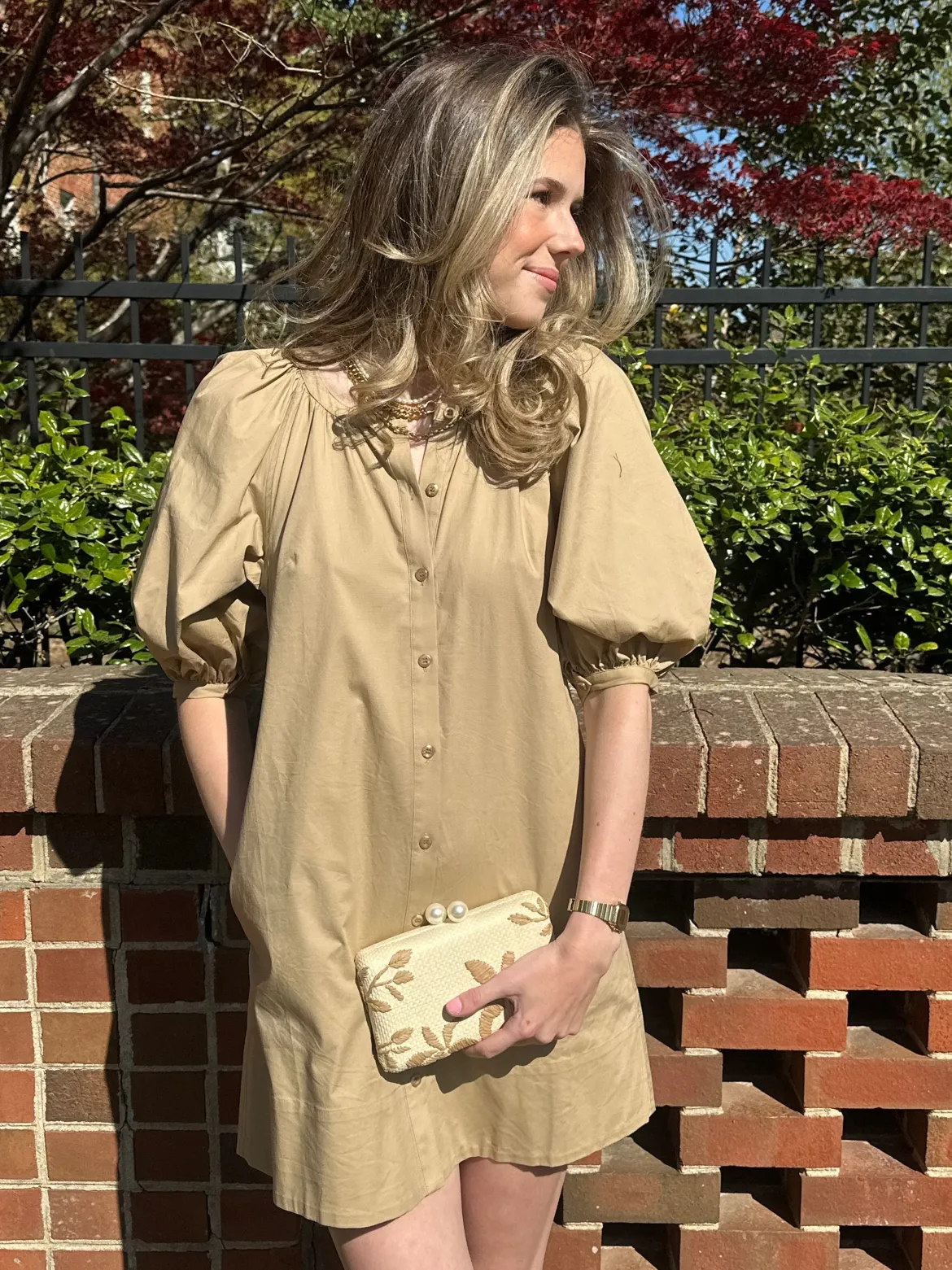 Charlotte Dress