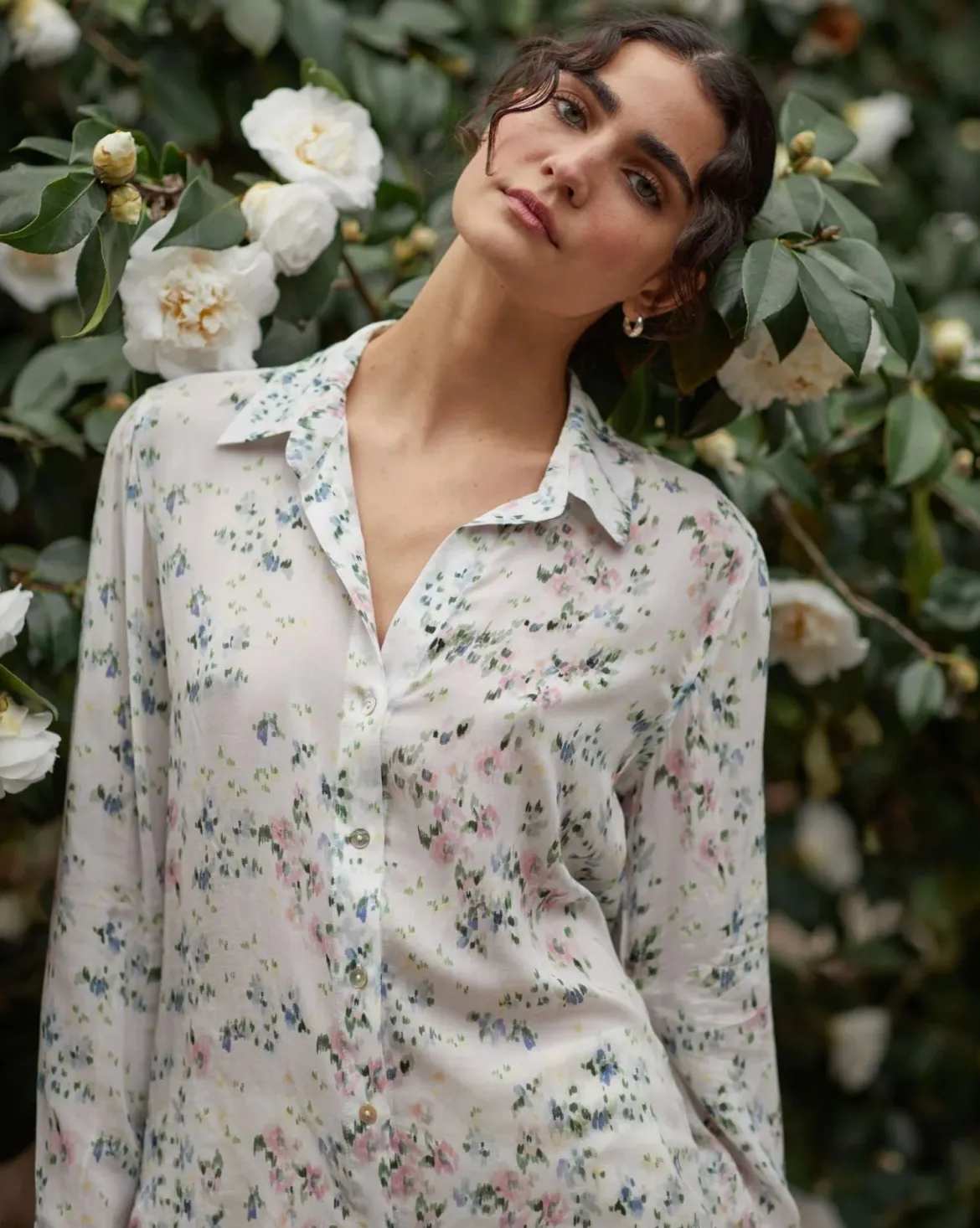 Classic Button Down