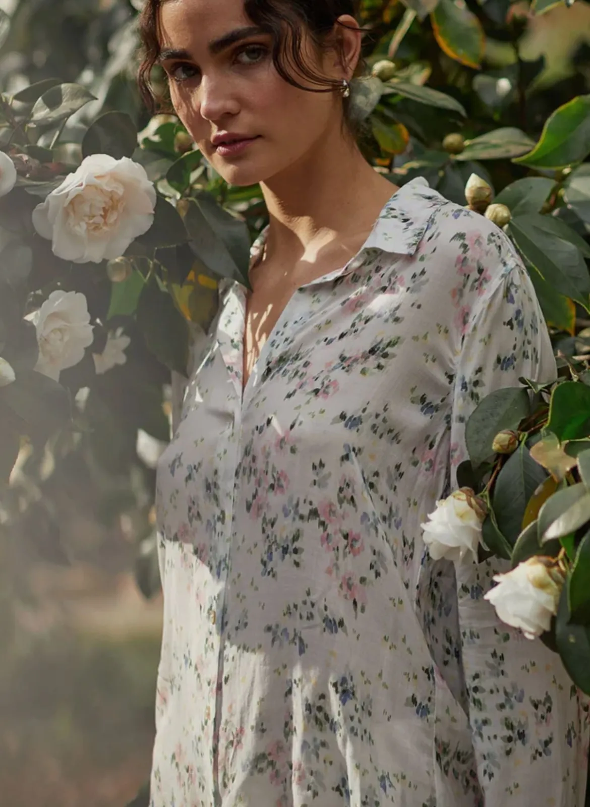 Classic Button Down