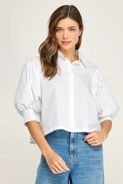 Daphne Top