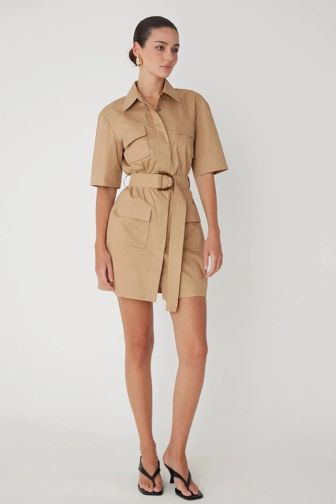 Larsen Mini Dress