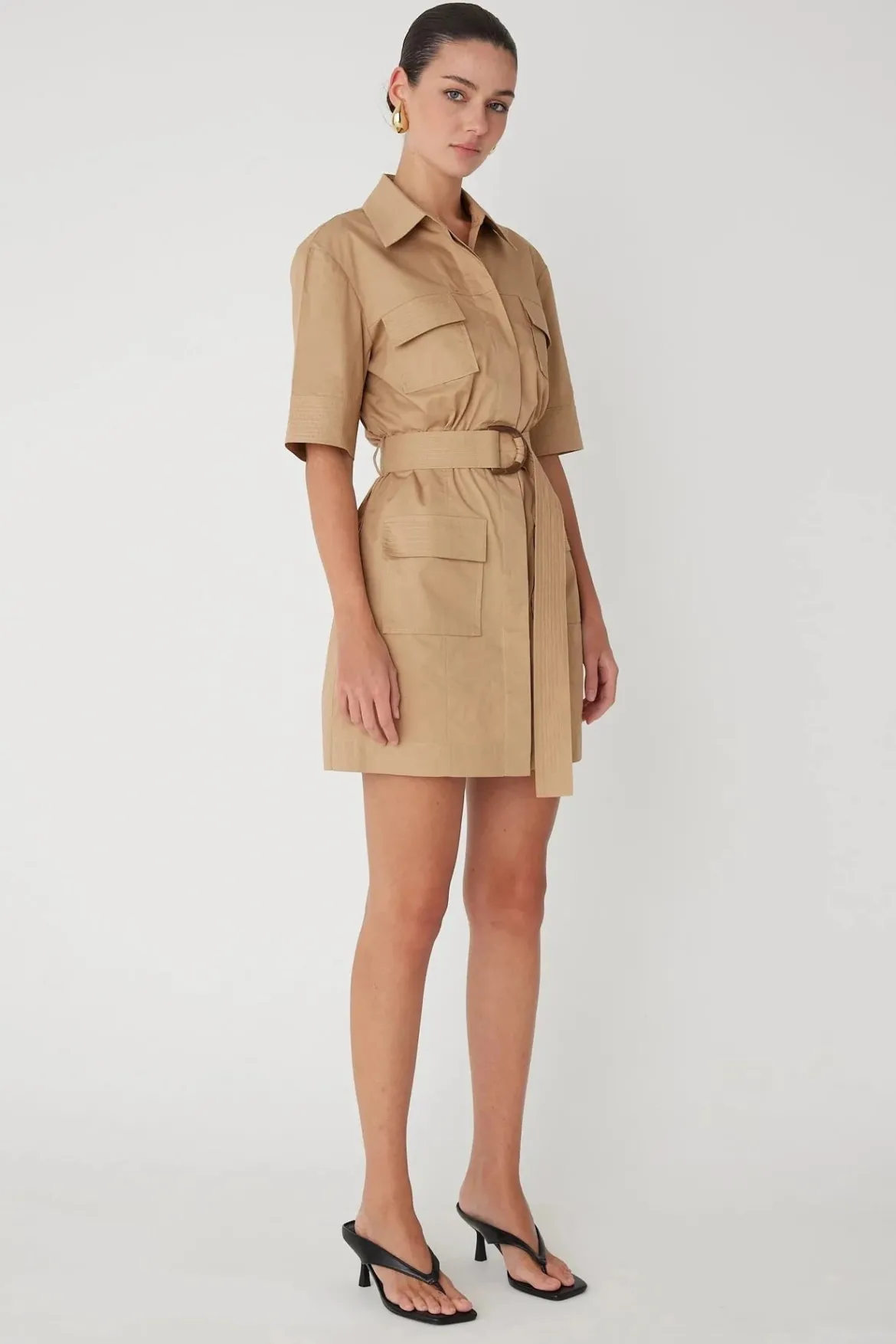 Larsen Mini Dress