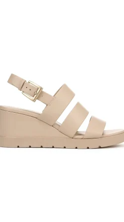 Rochel Wedge
