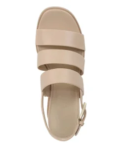 Rochel Wedge